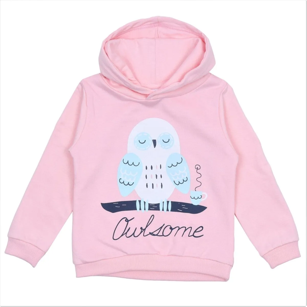 Hooded Sweatshirt Combo of 2-Little Monster-Owlsome