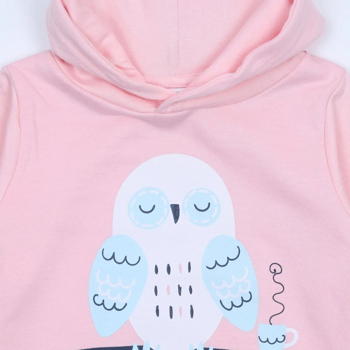 Hooded Sweatshirt Combo of 2-Meow or Never-Owlsome