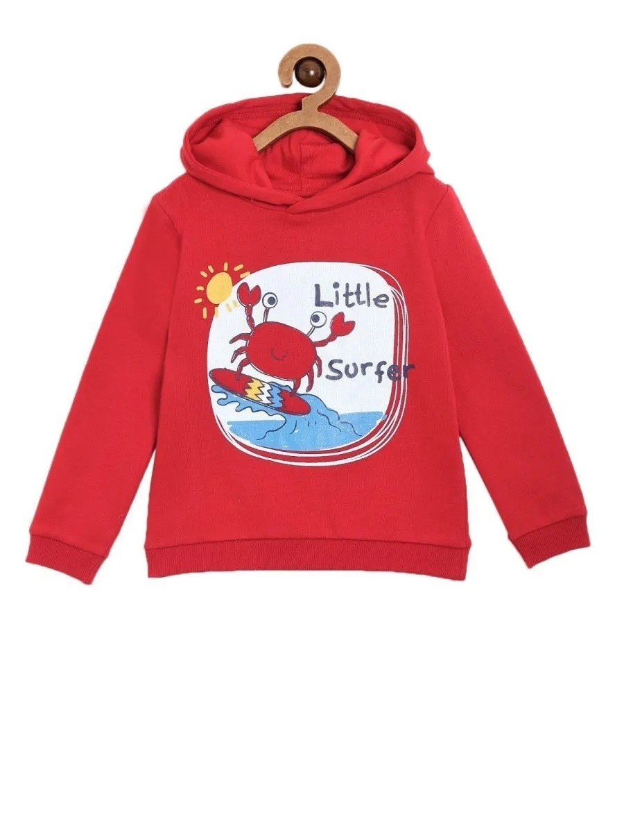 Hooded Sweatshirt Combo of 4-Little Surfer-Hello Dino-Rockstar Dino-My Little Lion