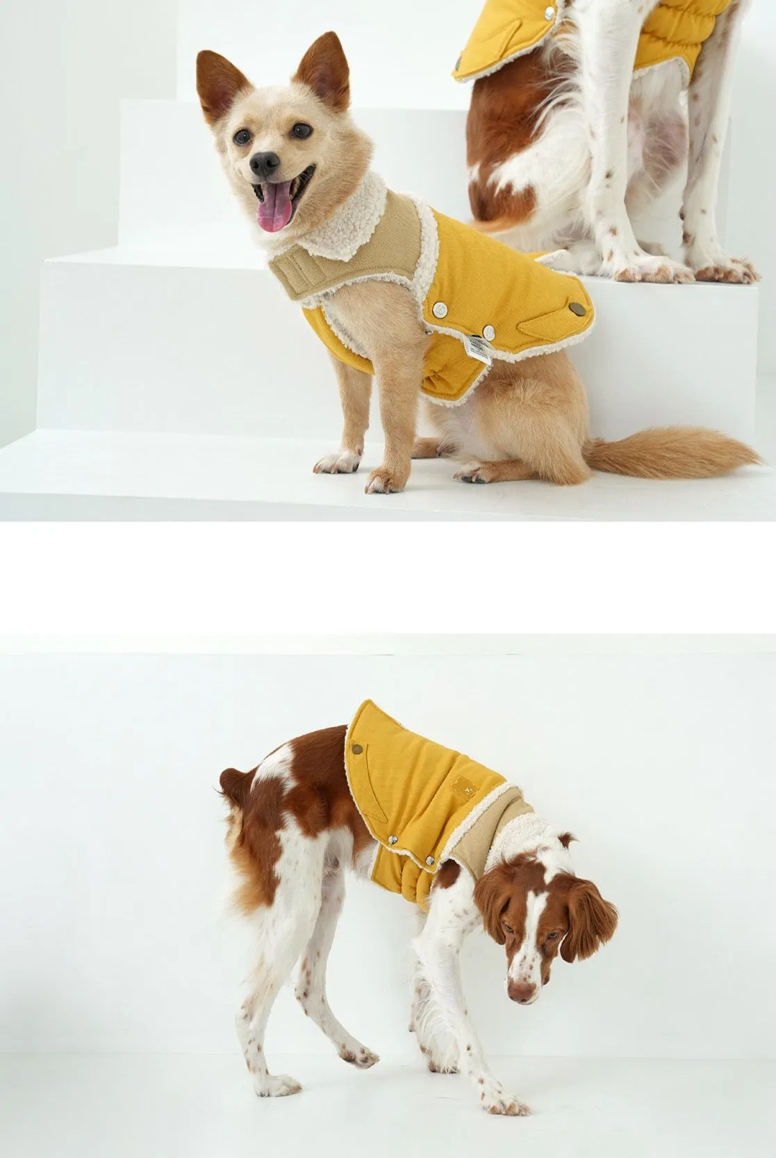 Korean Design Teddy Bear Fleece Winter Puffer Jacket for Dogs / Cats