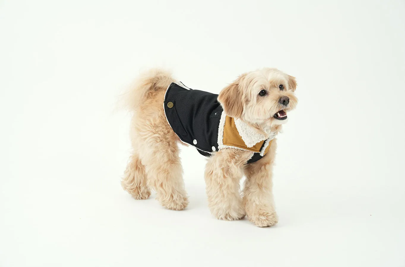 Korean Design Teddy Bear Fleece Winter Puffer Jacket for Dogs / Cats