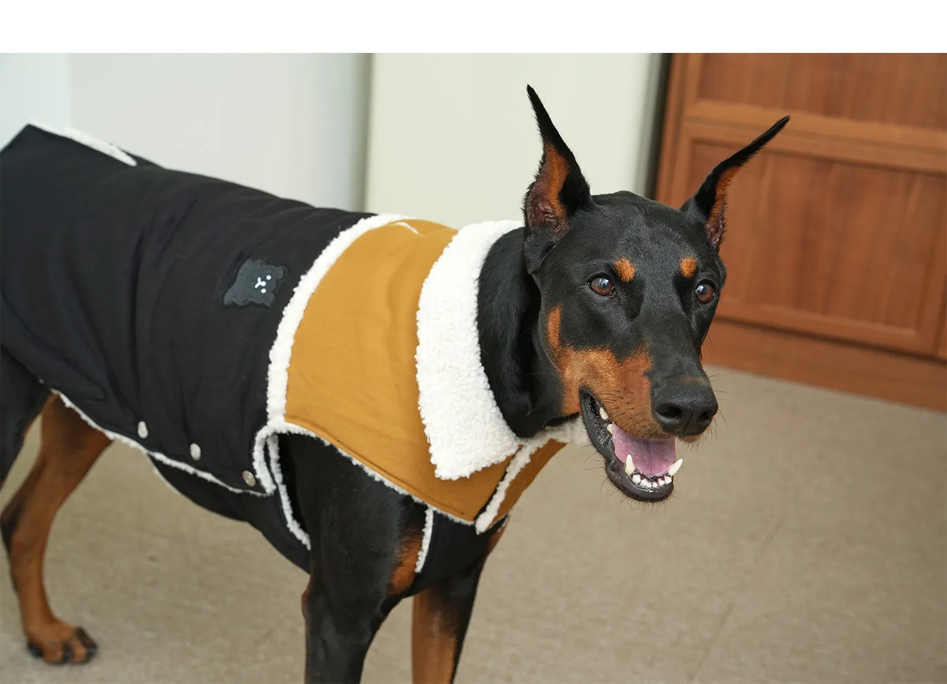 Korean Design Teddy Bear Fleece Winter Puffer Jacket for Dogs / Cats