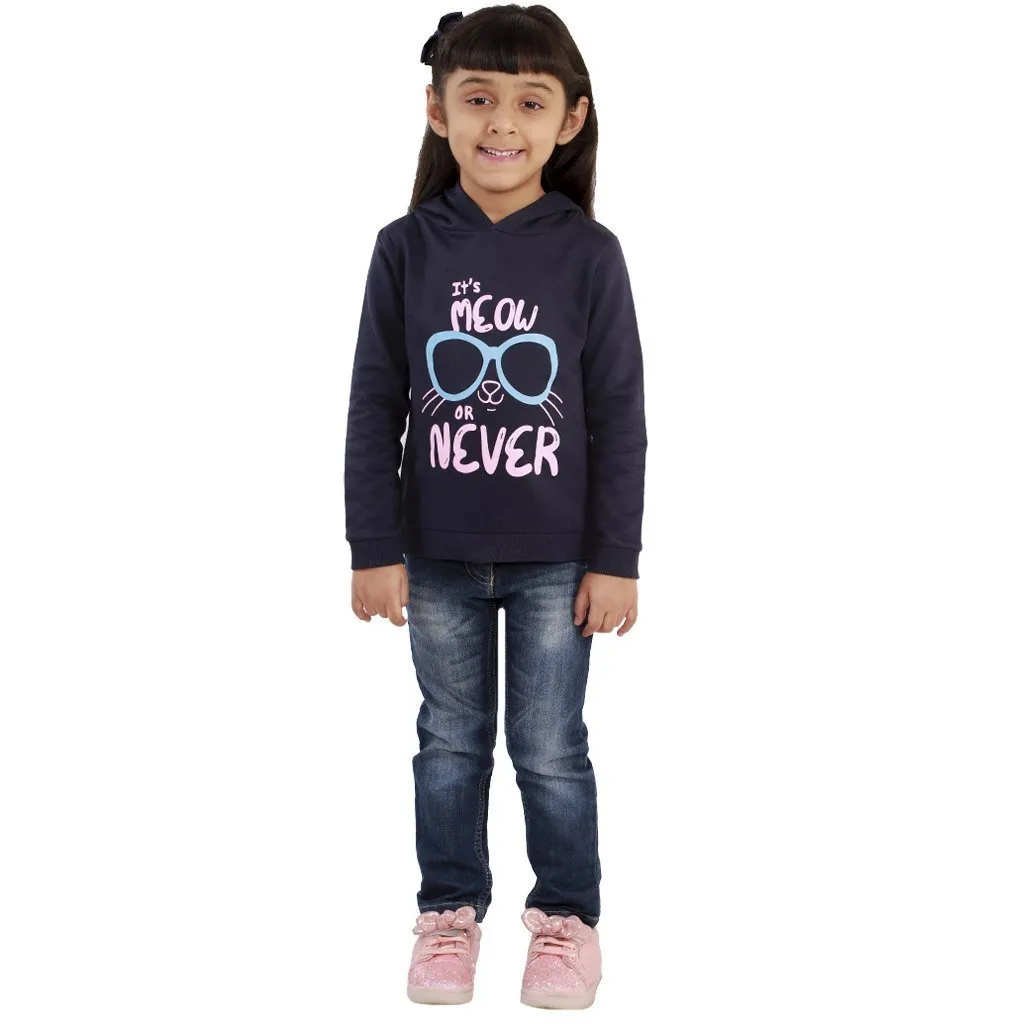 Meow or Never Hooded Sweatshirt