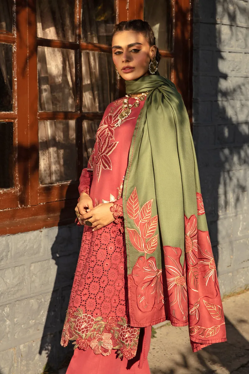 Rang Rasiya Premium Winter Collection – Uzuri