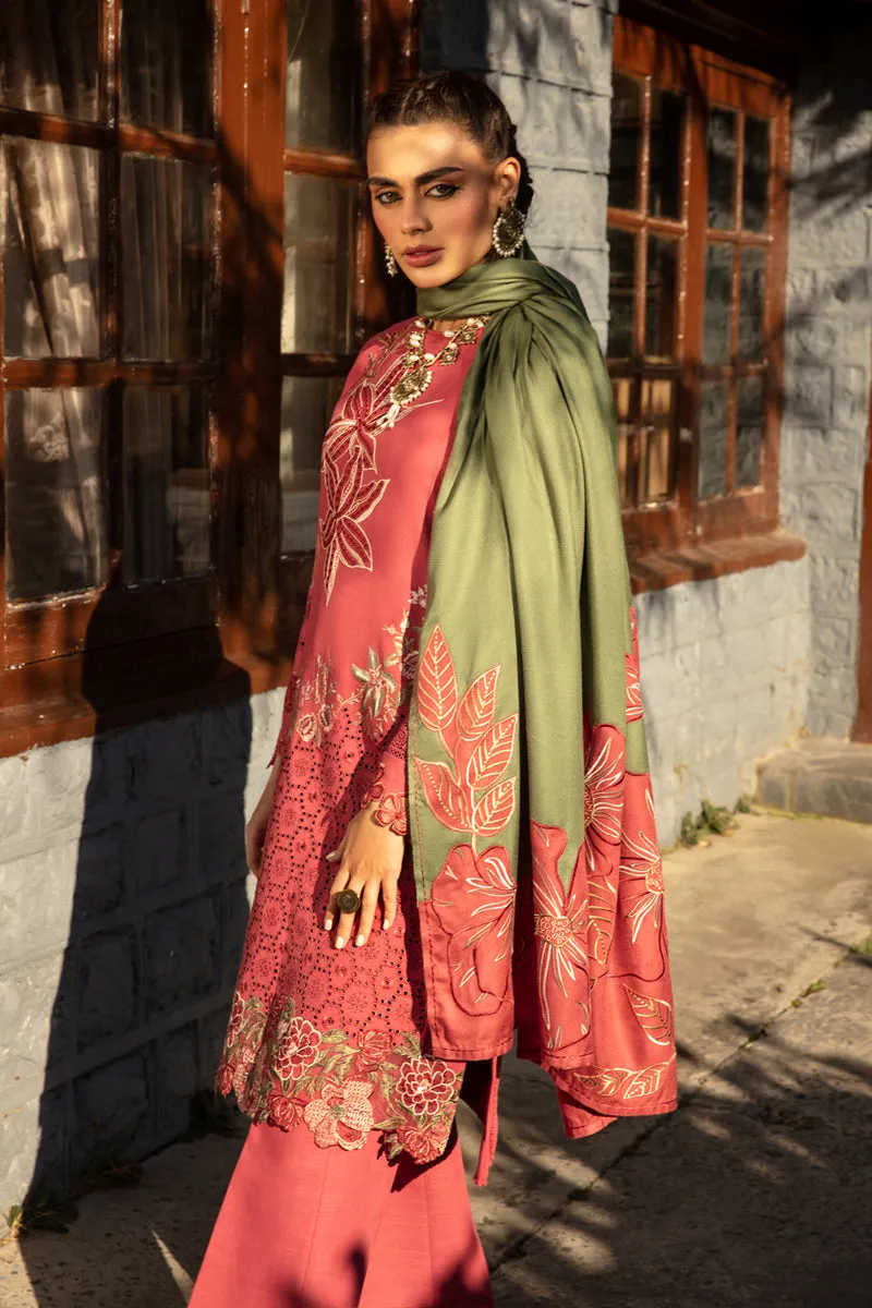 Rang Rasiya Premium Winter Collection – Uzuri