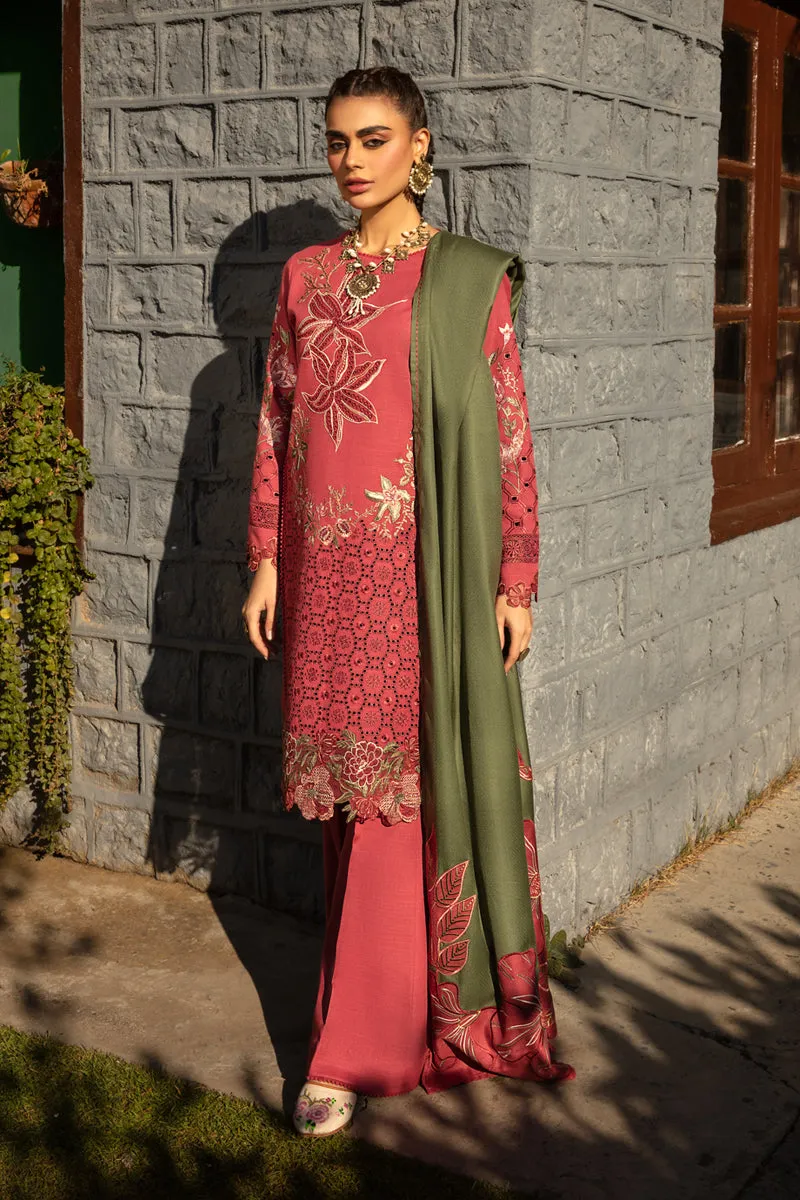 Rang Rasiya Premium Winter Collection – Uzuri