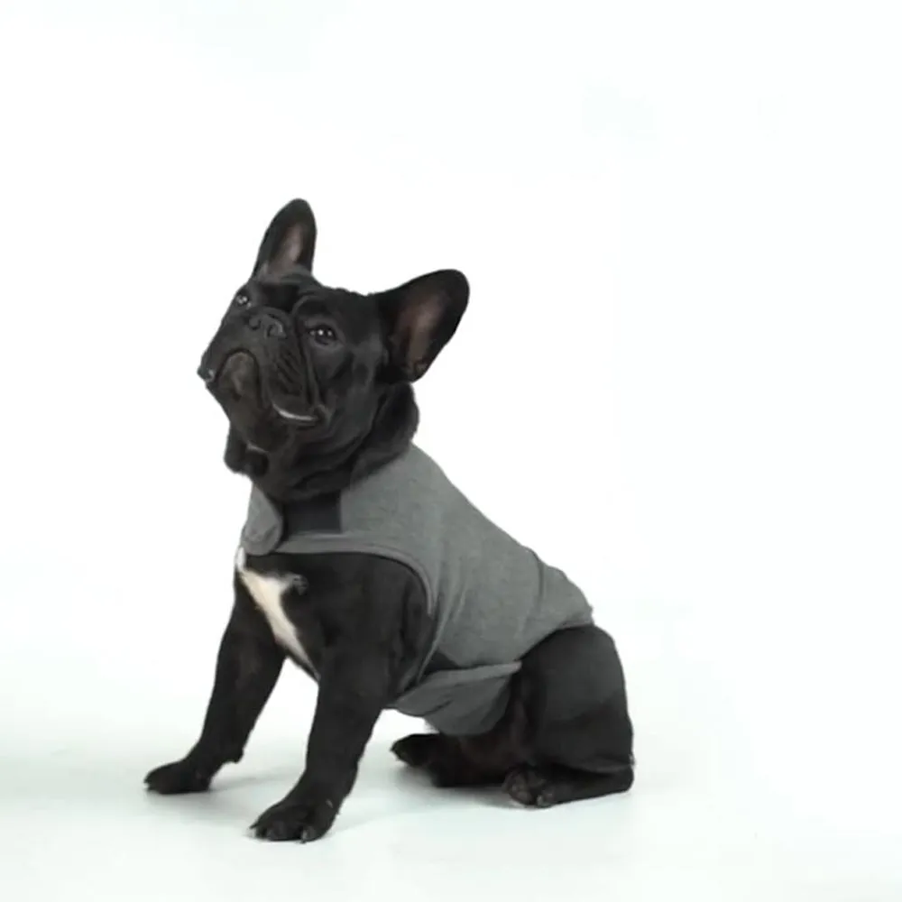 RelaxRover Frenchie Anxiety Jacket Calming Clothes for Dogs