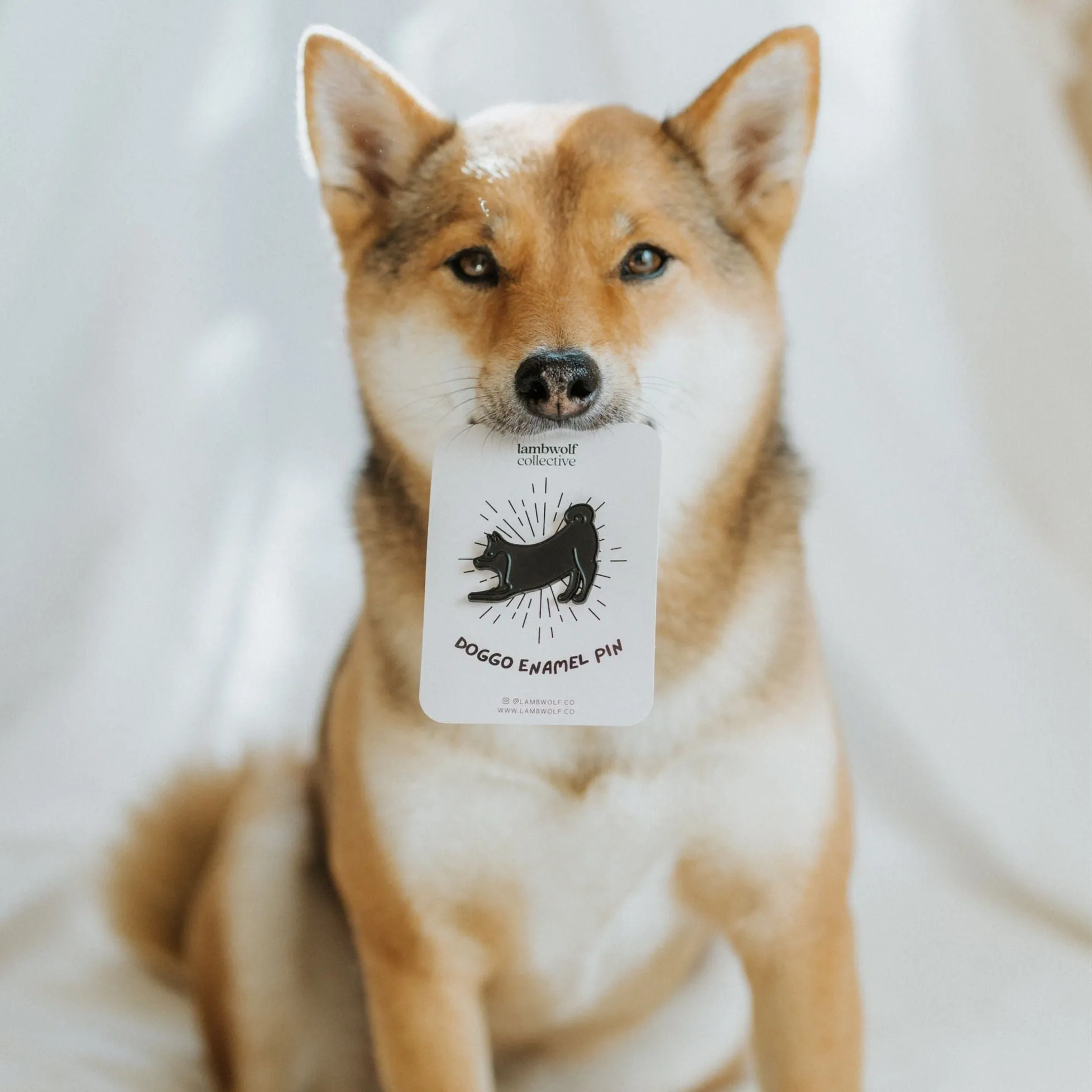 SHIBE ENAMEL PIN