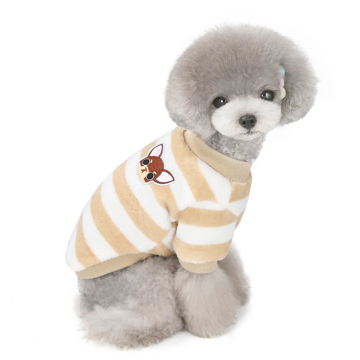 Soft coral fleece small dog winter pet clothing