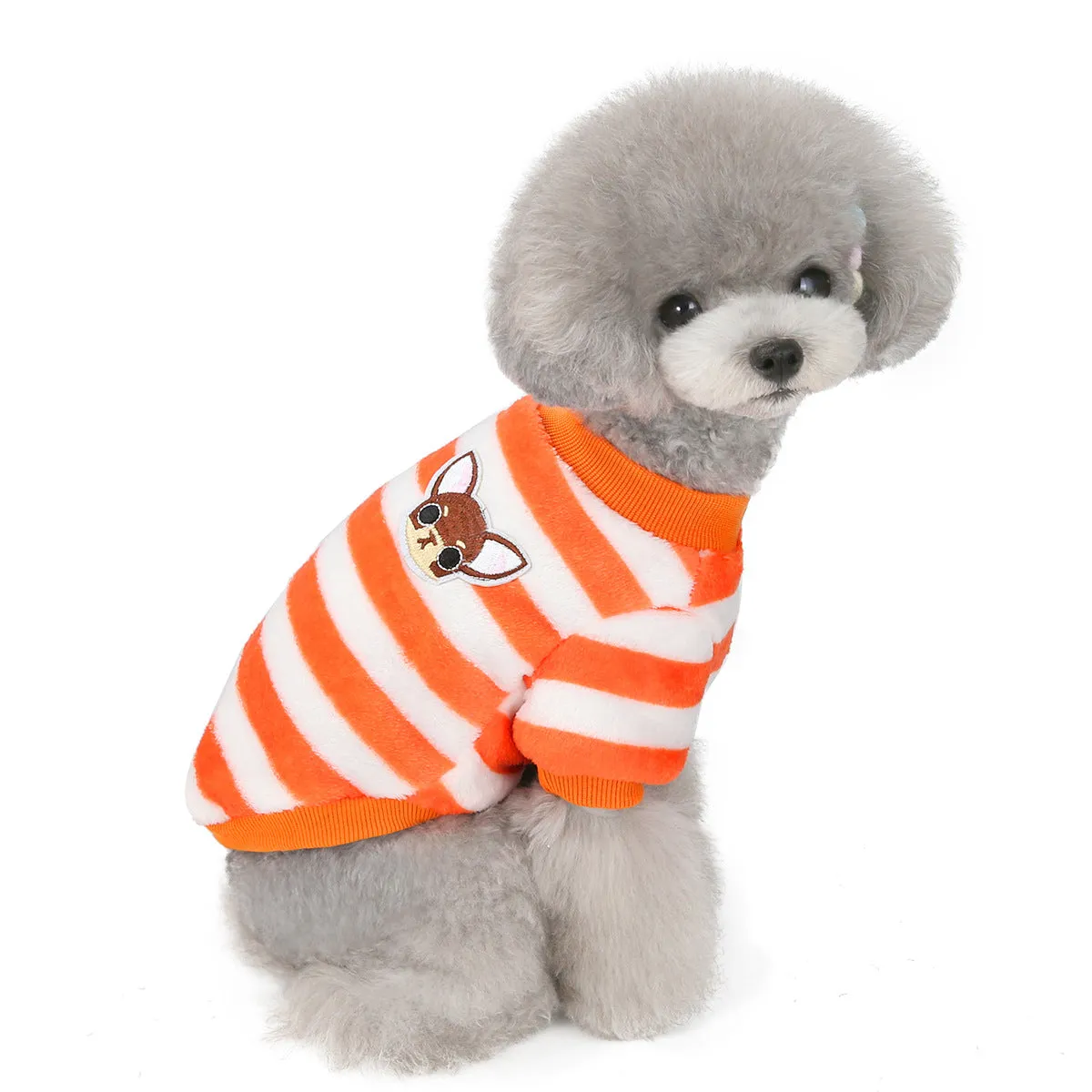 Soft coral fleece small dog winter pet clothing