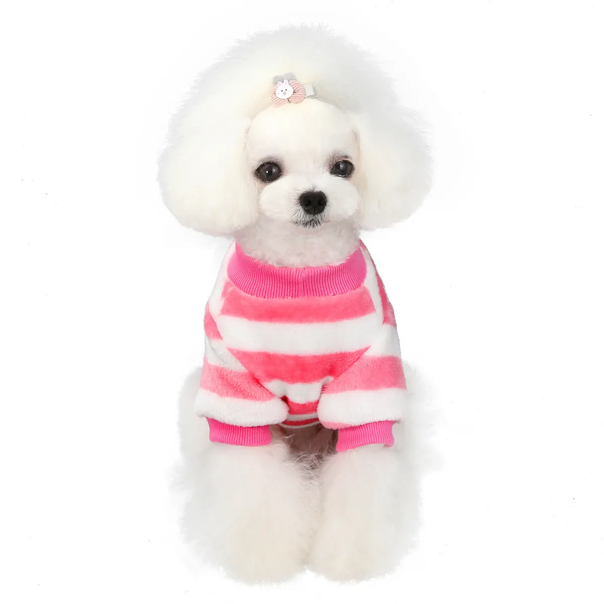 Soft coral fleece small dog winter pet clothing