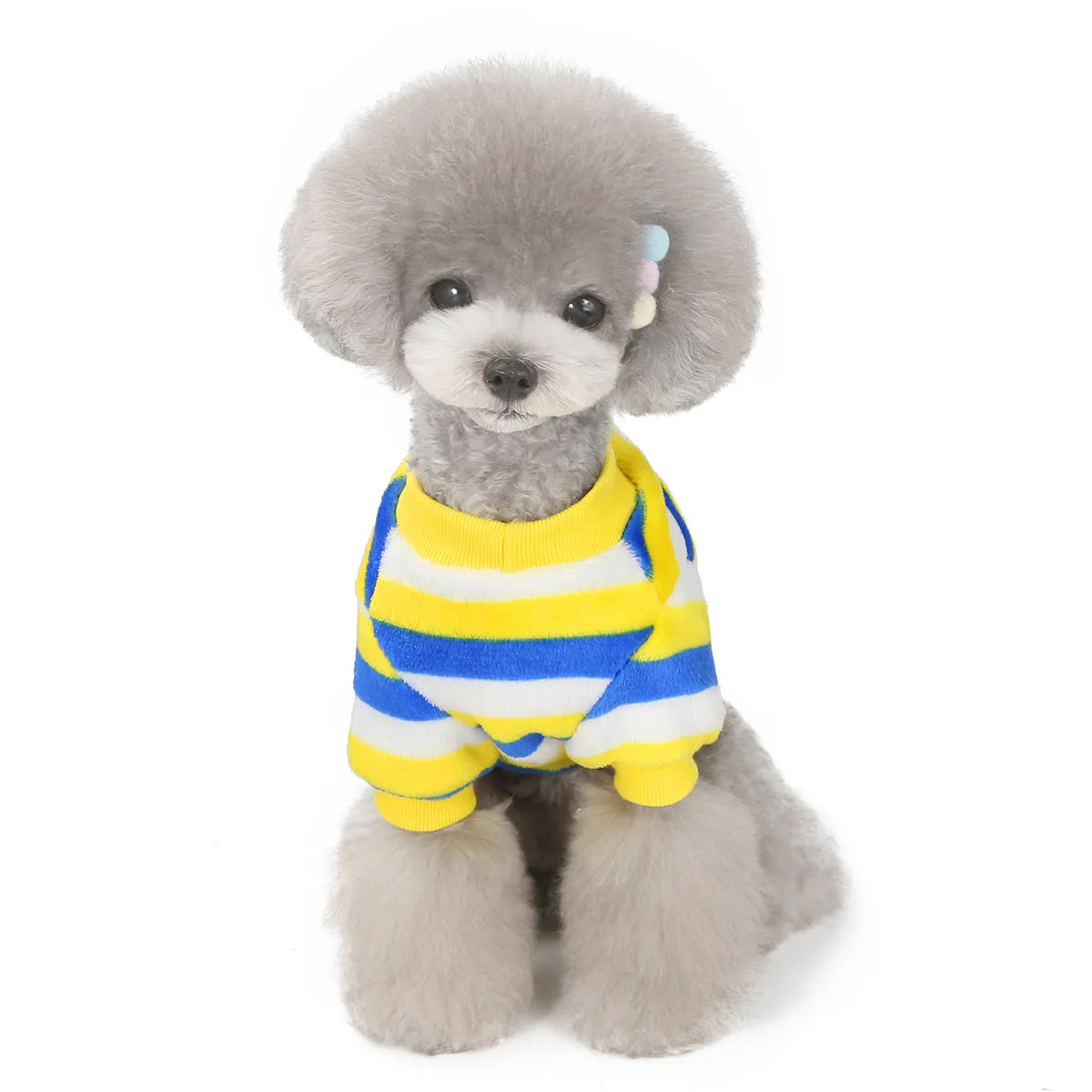 Soft coral fleece small dog winter pet clothing