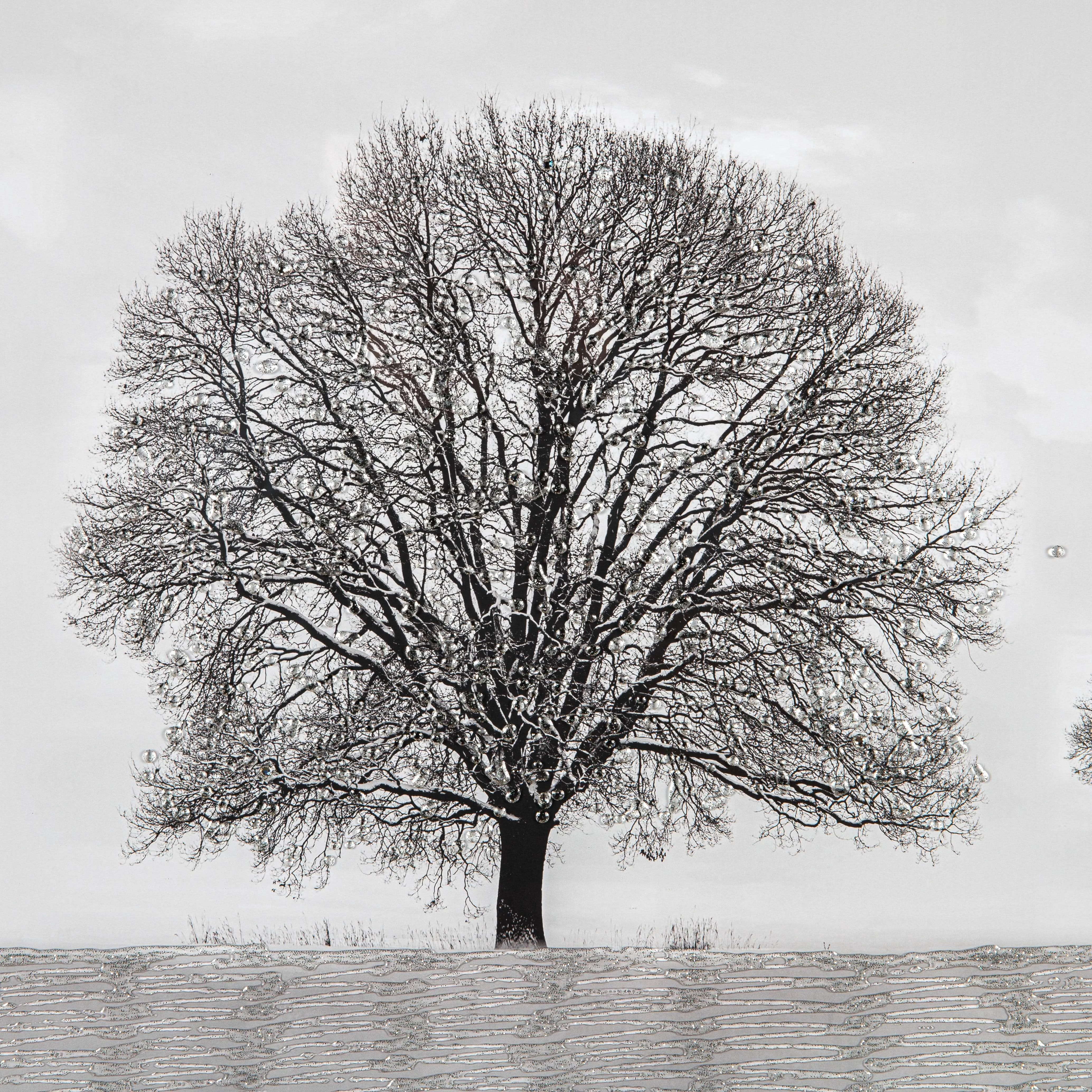 Winter Tree Framed Picture - 114cm x 74cm